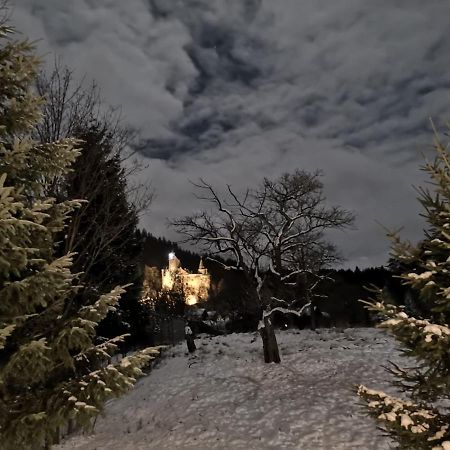 Bran 99 Villa Kültér fotó