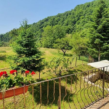 Bran 99 Villa Kültér fotó