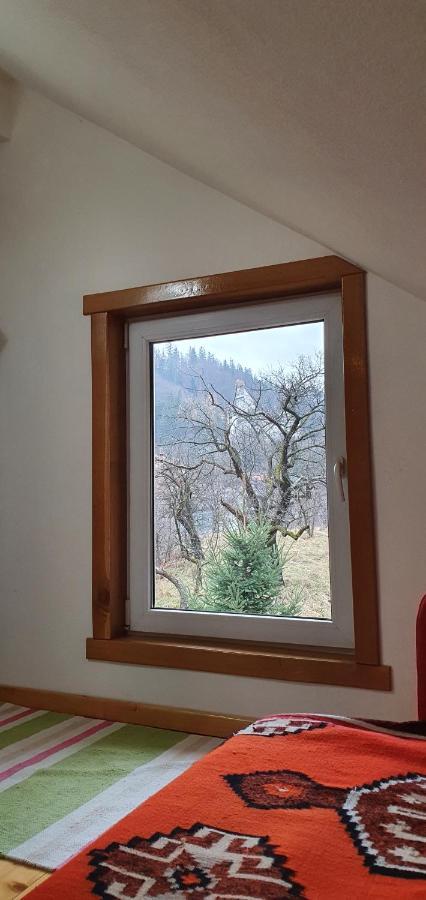 Bran 99 Villa Kültér fotó