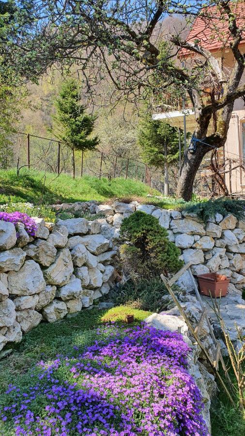 Bran 99 Villa Kültér fotó