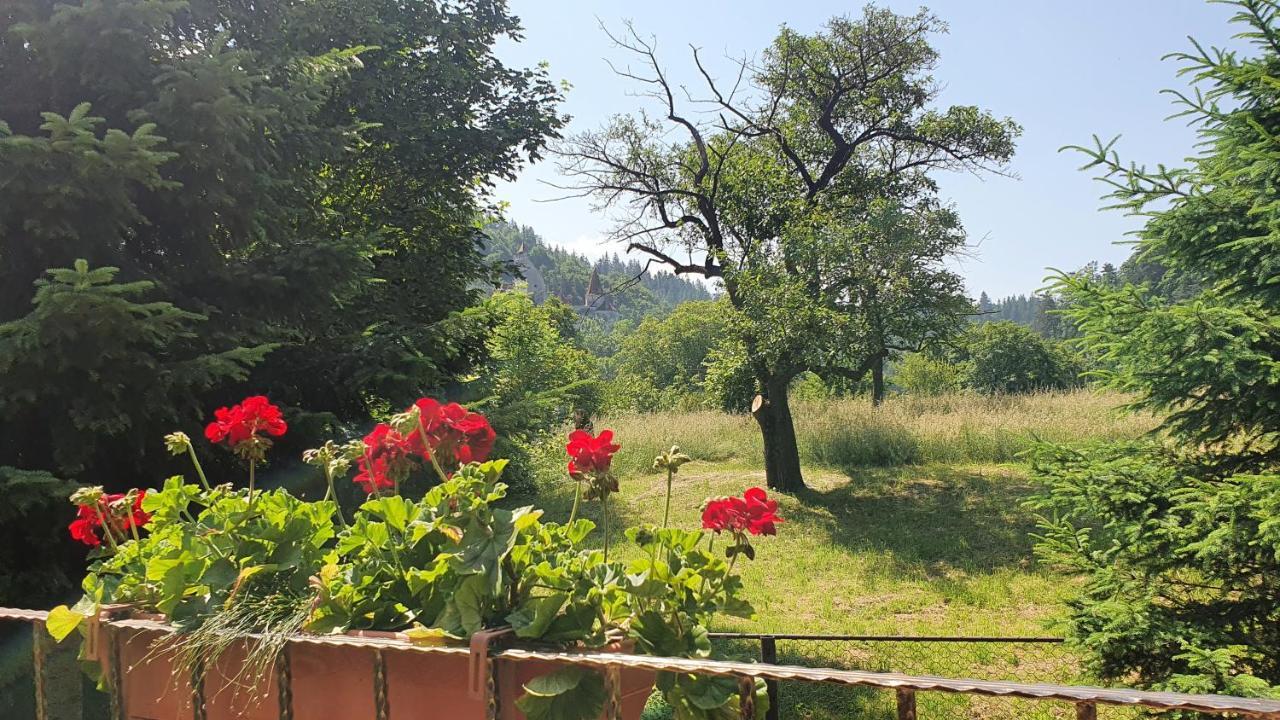 Bran 99 Villa Kültér fotó