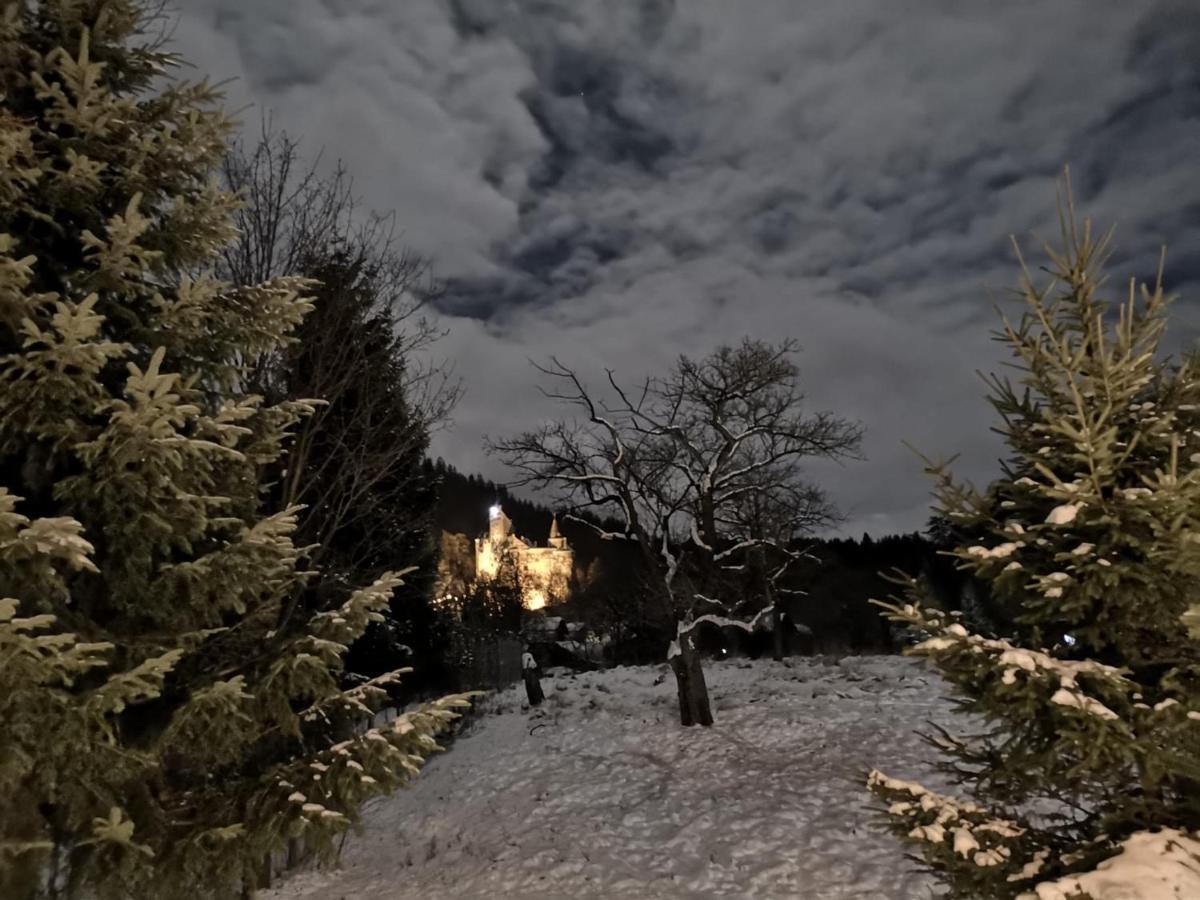 Bran 99 Villa Kültér fotó
